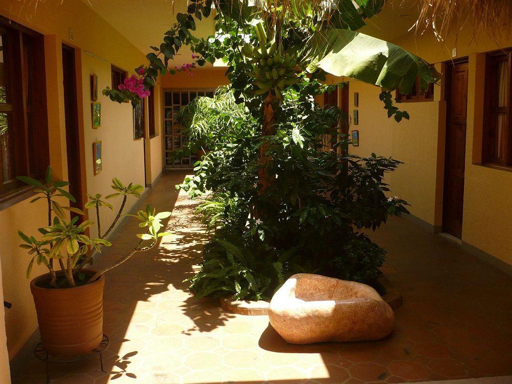 Art Hotel Managua Exterior photo